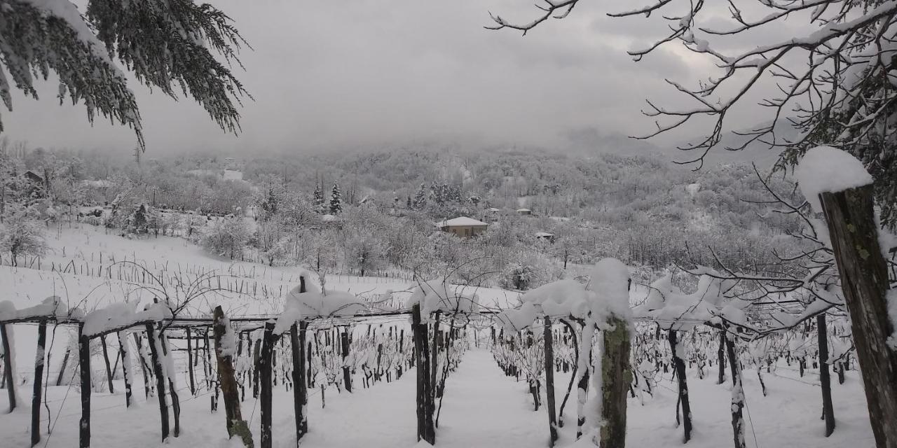 A Pousada Dimis Ferdobi Exterior foto